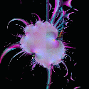peopleeater.jpg ~ 500x500 ~ 53k