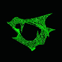 spiky.jpg ~ 512x512 ~ 47k