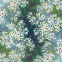 springtime.jpg ~ 500x500 ~ 146k